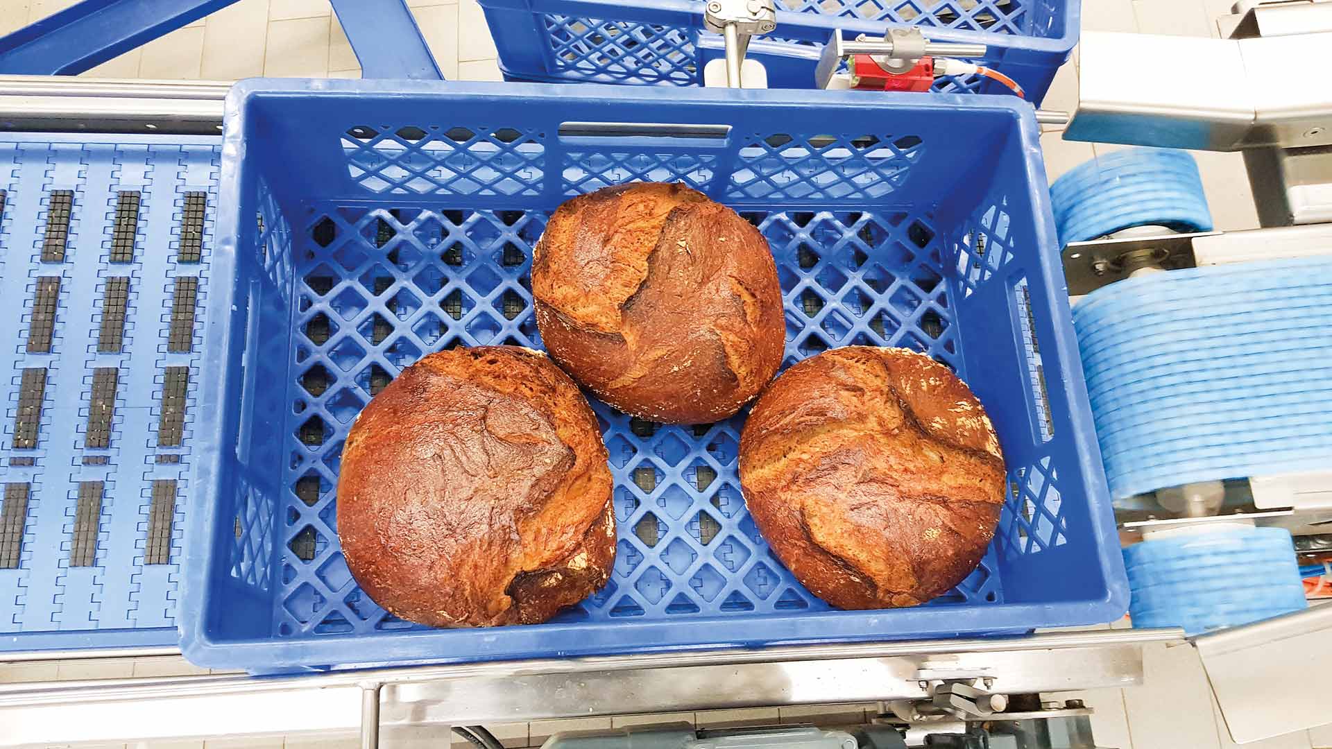 mfi-bakery-intralogistics-conveyor-bread-rolls